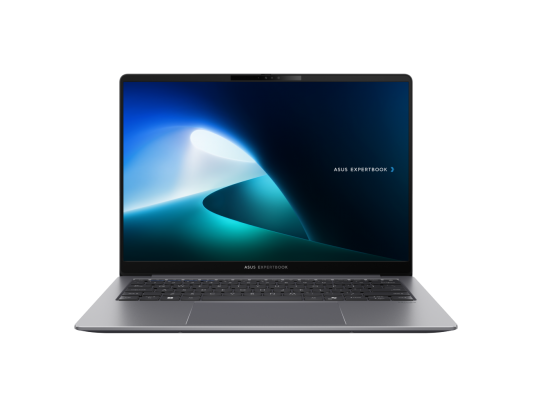 ASUS ExpertBook P5 P5405CSA-NZ0208 90NX0861-M008A0